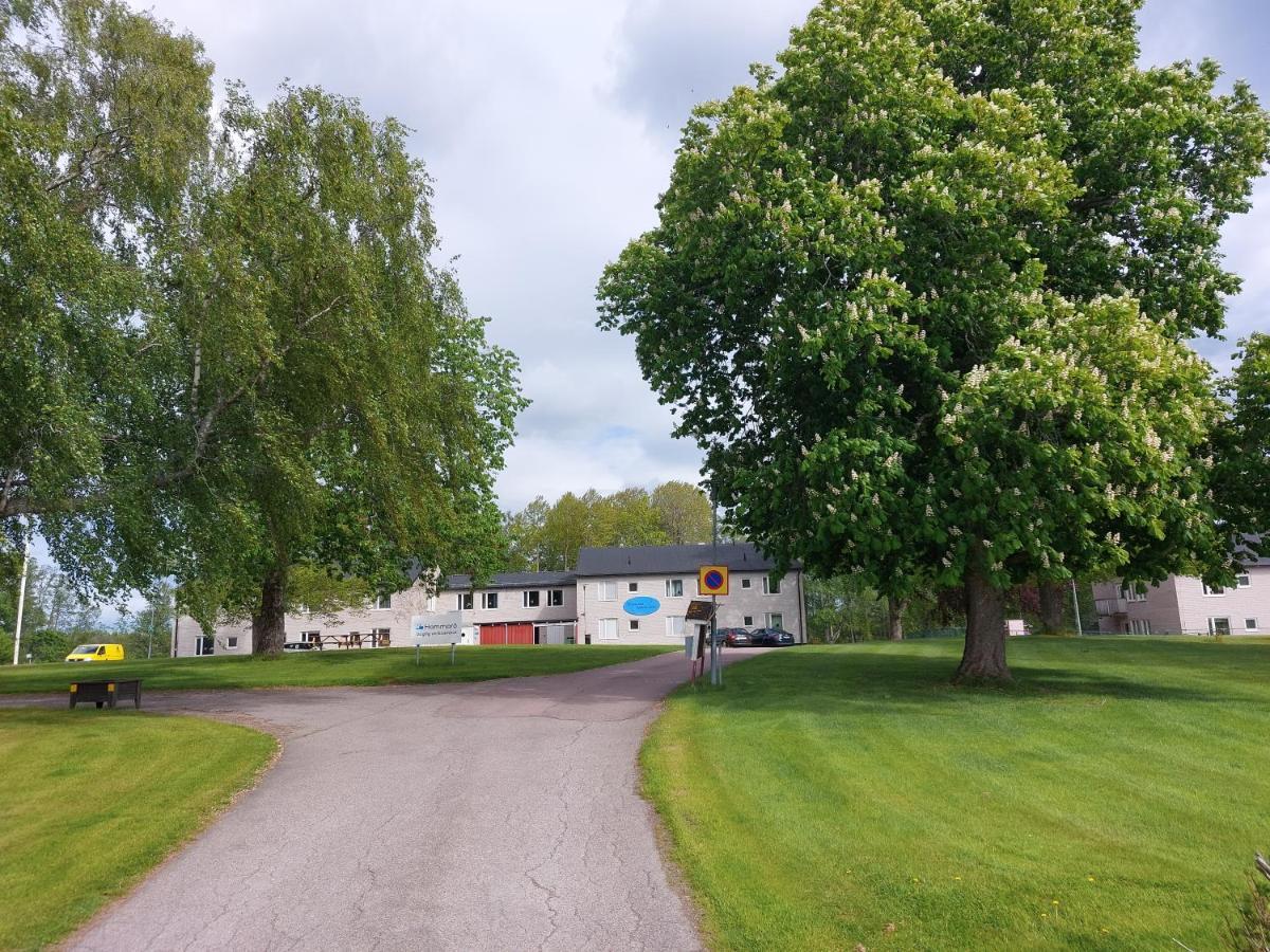 Hammaroe Vandrarhem Eksteriør billede